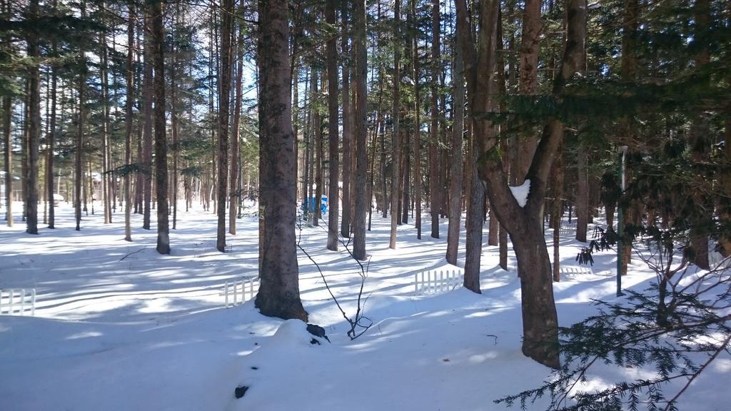 Pension Candytuft Каруїдзава Екстер'єр фото
